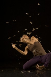 Amy Querin, Dance Artistwww.amyquerin.com